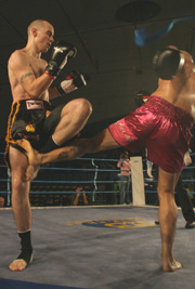 Mark blocks a low leg kick