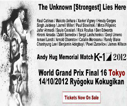 K1 rising - the final 16 is set for October 14 2012 for Tokyo, Japan