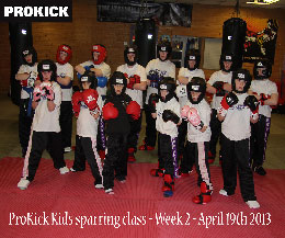 We have introduced a new Kids Sparring course for all junior levels up to the age of 12 years-old.