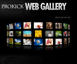 A new faster image gallery is here for ProKick.com