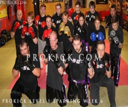 Pictured here is the last class of ProKick's Level 1 sparring class. Which is the kicks above the waist style of kickboxing - known traditional as the Full Contact Style.