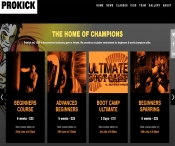 New ProKick web site launched