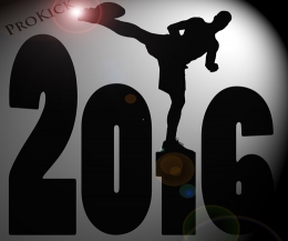 Happy New Year to all our visitors from ProKick.com  - have a great New Year