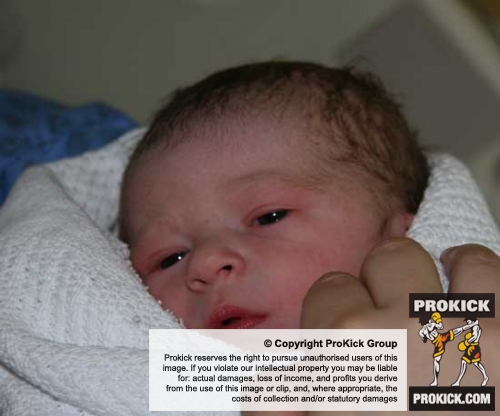 Baby Boom Continues At ProKick as ProKick's Frantastic had her Baby son today Thursday 28 05 2009