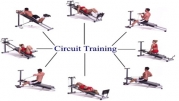 Circuit Training For Strength and Conditioning - VIDEO