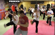 Prokick kickboxers in grading