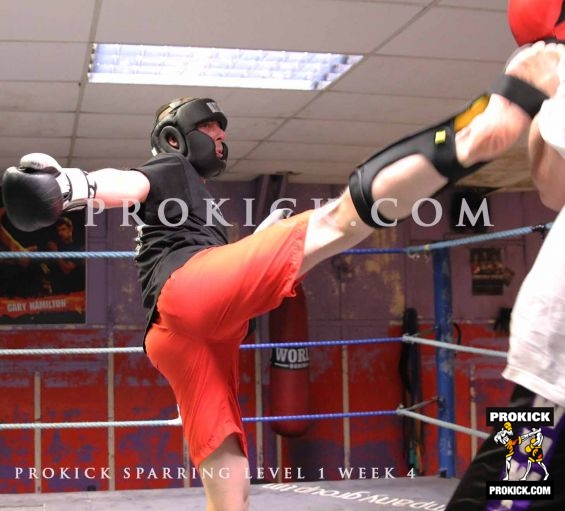 Sparring week four ringwork