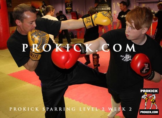 combinations punches and kicks