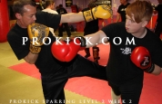 combinations punches and kicks