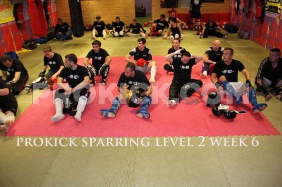 Week 6 level 2 ringwork