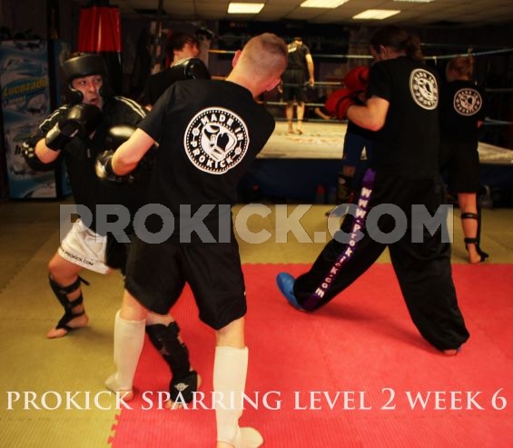 Week 6 light sparring floorwork