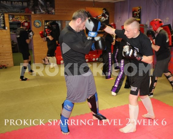 Week 6 sparring