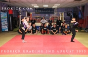 Junior Black Belts Kicks