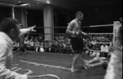 Knockdown Tomescu hits Canvas