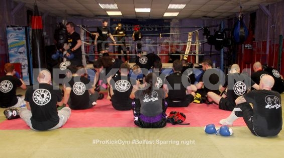 Ringwork at ProKick Belfast 