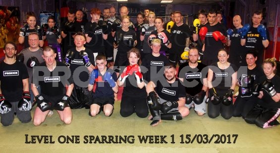 ProKick Sparring class March 15th 2017