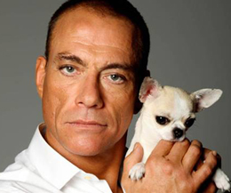 Martial Arts and Holywood Legend Jean-Claude Van-Damme turns his attention to the small screen