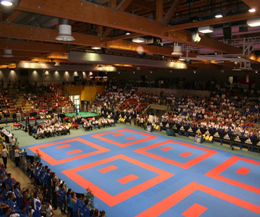 WAKO World Championships To Take Place In Dublin later this year